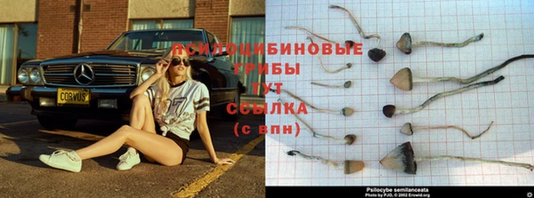 COCAINE Лабытнанги