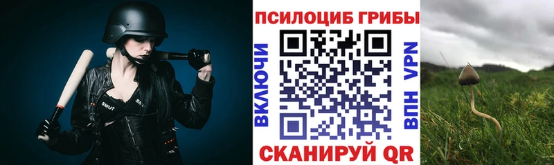 что такое наркотик Шарыпово Галлюциногенные грибы MAGIC MUSHROOMS